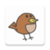 Bird Sounds Collection app for free