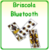 Briscola Bluetooth icon
