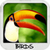 Birds Wallpapers free icon