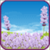 Lavender Field Live Wallpaper icon