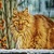 Beautiful Cat Live Wallpaper icon
