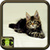 Free Cat Wallpapers icon