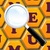 Free Word Search icon