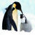 Cute Penguin HD Wallpaper icon