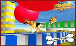 Crazy Dog Jump Stunt Sim 3D screenshot 1/5
