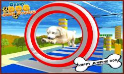 Crazy Dog Jump Stunt Sim 3D screenshot 3/5