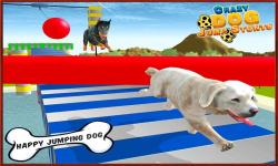 Crazy Dog Jump Stunt Sim 3D screenshot 4/5