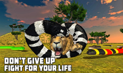 Furious Lion Vs Angry Anaconda Snake: Wild Sim screenshot 2/5