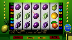 Fruity Madness Slots Lite screenshot 2/3