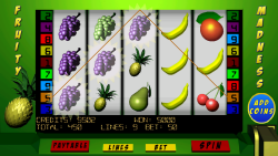 Fruity Madness Slots Lite screenshot 3/3