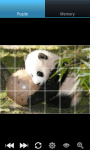 Panda : Zoo Wild Animals screenshot 2/6