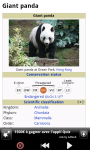 Panda : Zoo Wild Animals screenshot 3/6