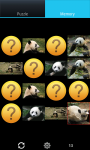 Panda : Zoo Wild Animals screenshot 4/6