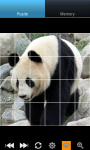 Panda : Zoo Wild Animals screenshot 6/6