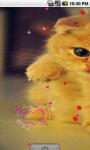 Cute Kitty cat Live Wallpaper screenshot 2/4