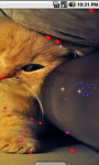 Cute Kitty cat Live Wallpaper screenshot 3/4