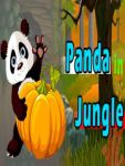 Panda In Jungle screenshot 1/6