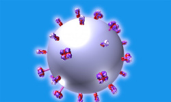 Influenza Virus Structure in 3D VR screenshot 1/3