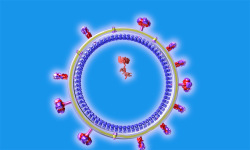 Influenza Virus Structure in 3D VR screenshot 3/3