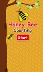 Honey Bee-Counting screenshot 1/3