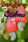 Benefits of Cashew screenshot 1/3