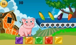 Funny Pig Feeding screenshot 5/6