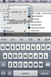 iTap VNC (Remote Desktop for Windows and Mac) screenshot 1/1