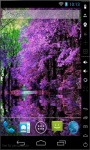 Lilac Blooming Live Wallpaper screenshot 1/2