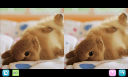 Pinky - Find differences screenshot 5/5