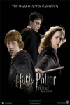 Harry Potter and the Deathly Hallows Wallpapers screenshot 2/2