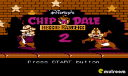 Chip and  Dale Rescue Rangers 2 screenshot 1/4