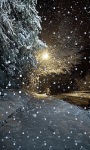 Snowy Night Road LWP screenshot 1/3