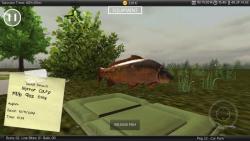 Carp Fishing Simulator perfect screenshot 1/6