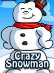 Crazy Snowman screenshot 1/1