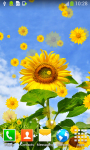 Top Sunflowers Live Wallpapers screenshot 4/6