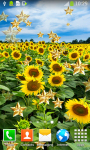 Top Sunflowers Live Wallpapers screenshot 5/6