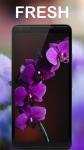 NAND Flower - Wallpaper Flower HD screenshot 1/3