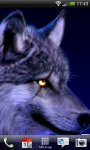 Beautiful Wolf Lwp Wave Effect  screenshot 1/5