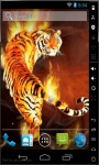 Tiger On Flames Live Wallpaper screenshot 1/2