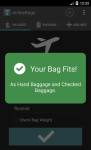 Airline Baggage screenshot 2/4