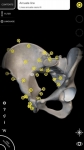 Sistema Muscolare Anatomia 3D overall screenshot 1/6