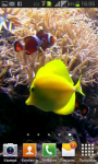 Fish underwater video LiveWP screenshot 3/4