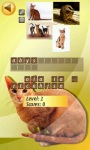Cats Quiz  screenshot 1/4
