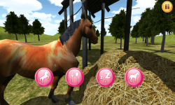 My Pony World 3D screenshot 1/6