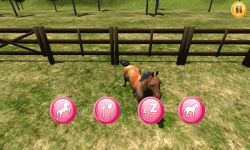My Pony World 3D screenshot 2/6