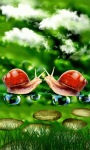 Snails Drops Live Wallpaper screenshot 1/3