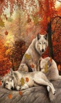 Forest Wolves Live Wallpaper screenshot 1/3