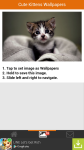 Free Cute Kittens Wallpapers screenshot 3/6