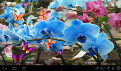 3D Orchid flower Live Wallpaper screenshot 1/5