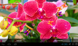 3D Orchid flower Live Wallpaper screenshot 2/5